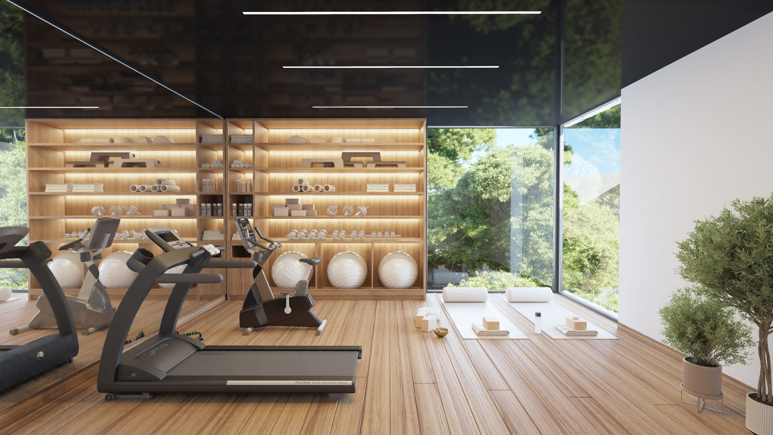 Orion_01_Interior_gym